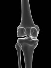 Knee joint, computer illustration — Stock Photo