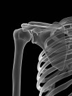 Плечевой сустав, компьютерная иллюстрация — стоковое фото