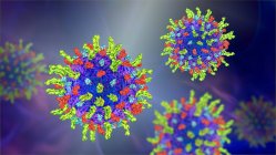 Virus Herpès simplex, illustration informatique — Photo de stock