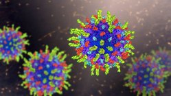 Virus Herpès simplex, illustration informatique — Photo de stock