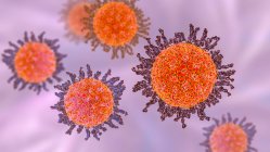 Herpes simplex vírus, ilustração do computador — Fotografia de Stock