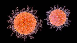 Herpes simplex virus, computer illustration — Foto stock