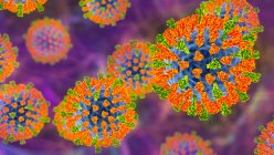 Partícula del virus del sarampión, ilustración. Este virus, del grupo de virus Morbillivirus, consiste en un núcleo de ARN (ácido ribonucleico) rodeado por una envoltura tachonada de proteínas de superficie hemaglutinina-neuraminidasa y proteína de fusión. - foto de stock