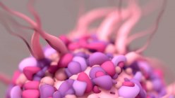 Illustration einer dendritischen Zelle, einer Art weißer Blutkörperchen, die Bestandteil des körpereigenen Immunsystems ist. Dabei handelt es sich um Antigen-präsentierende Zellen (APCs), d.h. sie präsentieren anderen Zellen des Immunsystems Krankheitserreger oder fremde Moleküle (Antigene). — Stockfoto
