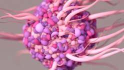 Иллюстрация дендритных клеток, типа белых кровяных телец, являющихся составной частью иммунной системы организма — стоковое фото