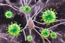 Концептуальная иллюстрация вирусного энцефалита - воспаление мозга, вызванное вирусом. — стоковое фото