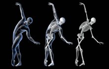 Анатомія танцюриста, комп'ютерна ілюстрація. Чоловік в балетній позі з підсвіченим скелетом, що показує скелетну активність в балетних танцях . — стокове фото