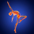 Anatomie einer Tänzerin, Computerillustration. Ein Mann in Ballettpose mit hervorgehobenem Skelett zeigt Skelett-Aktivität beim Balletttanz. — Stockfoto