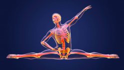 Anatomie einer Tänzerin, Computerillustration. Ein Mann in Ballettpose mit hervorgehobenem Skelett zeigt Skelett-Aktivität beim Balletttanz. — Stockfoto
