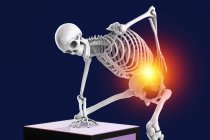 Maux de dos. Illustration conceptuelle par ordinateur d'un squelette humain tenant une main dans le bas du dos. Les douleurs lombaires, appelées lumbago, sont très fréquentes et sont causées par des dommages aux muscles et aux tendons entourant la colonne vertébrale. — Photo de stock