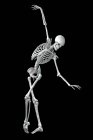 Anatomie d'un danseur, illustration informatique. Un squelette humain dans une pose de ballet montrant une activité squelettique dans la danse de ballet. — Photo de stock