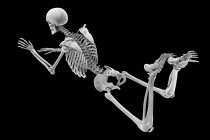 Компьютерная иллюстрация, показывающая скелет человека с плохой осанкой во время работы над ноутбуком. — стоковое фото