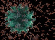 Anticuerpos que atacan la partícula del coronavirus, ilustración. - foto de stock