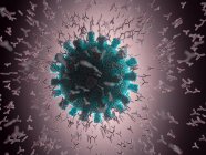 Антитіла, що атакують частинку коронавірусу, ілюстрація . — стокове фото