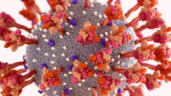 Partícula del coronavirus, ilustración. SARS-CoV-2 es un ARN envuelto (ácido ribonucleico) virus. Dentro de la membrana hay proteínas de espiga (centro, espigas rojas grandes), proteínas de membrana y proteínas de envoltura. SARS-CoV-2 causa la infección respiratoria Covid - foto de stock