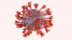 Частица коронавируса, иллюстрация. SARS-CoV-2 является конвертированным вирусом РНК (рибонуклеиновой кислоты). Внутри мембраны находятся пиковые белки (центр, большие красные шипы), мембранные белки и белки оболочки. SARS-CoV-2 вызывает респираторную инфекцию Covid — стоковое фото