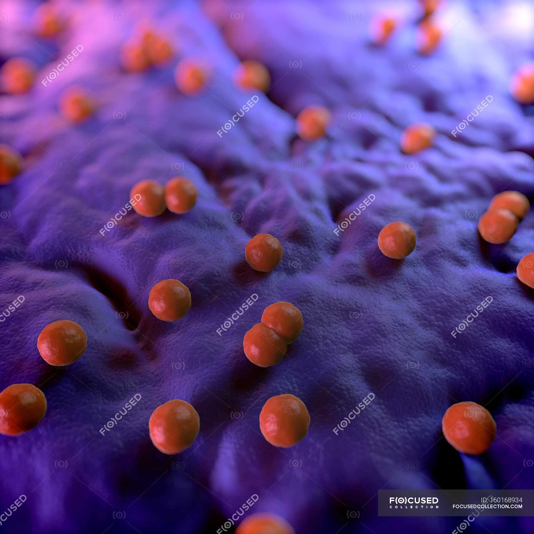 bacterial-infection-of-tissue-lining-full-frame-ball-stock-photo