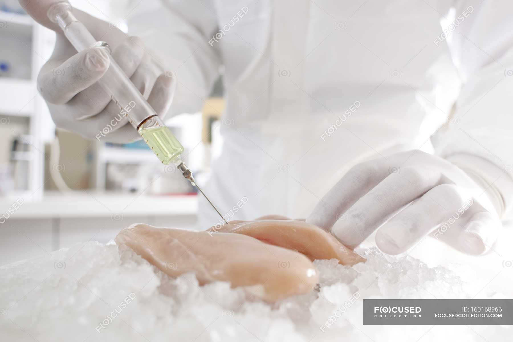 Scientist injecting chicken meat with syringe with white liquid, conceptual image. — holding