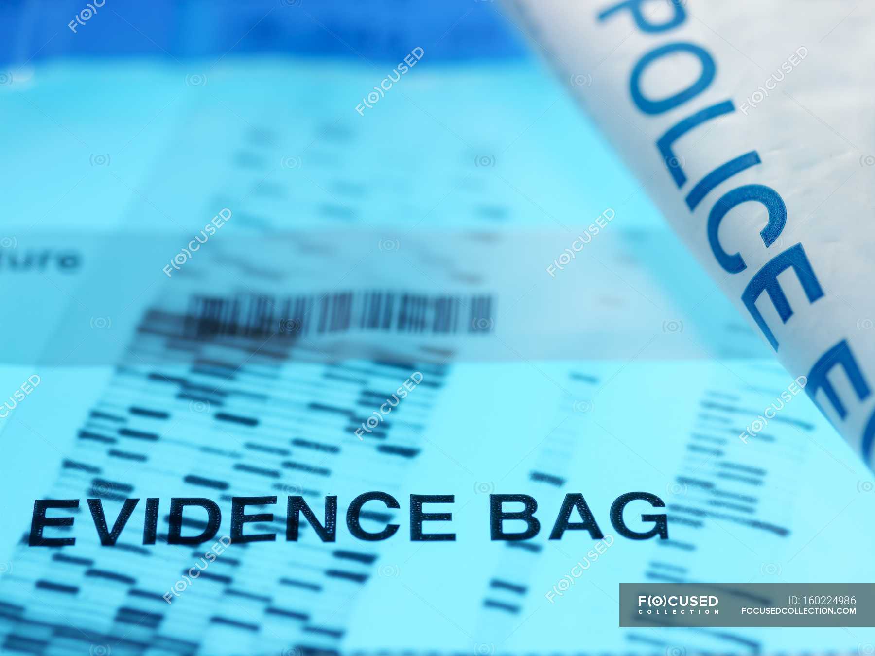 Forensic DNA autoradiogram — Medical Equipment, forensics Stock Photo