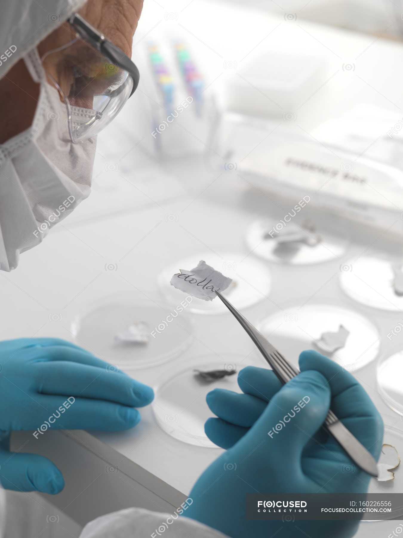 Forensic science argumentative essay image