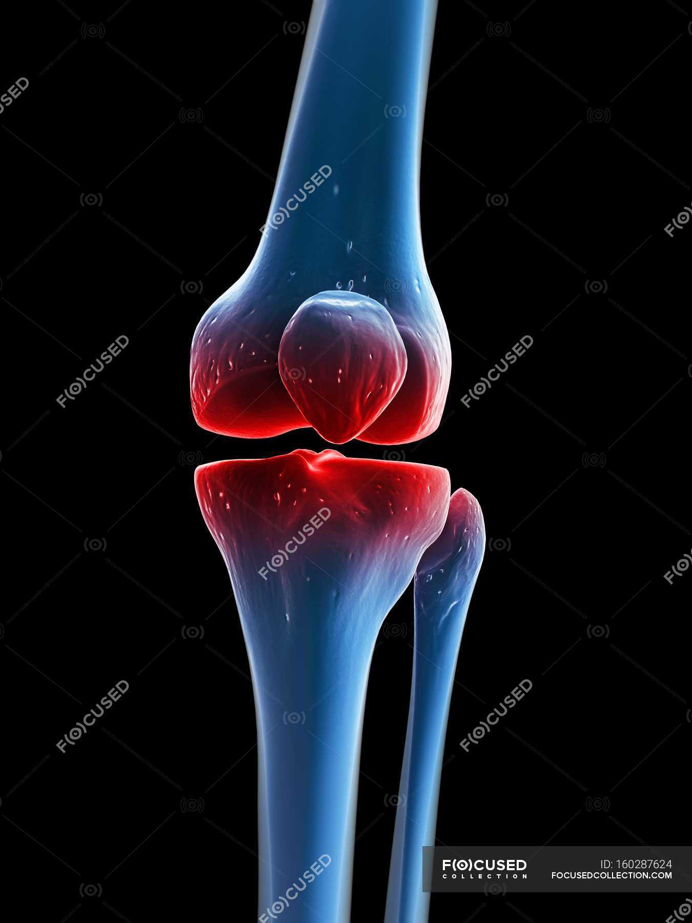 Visual render of Painful knee — background, human body - Stock Photo ...