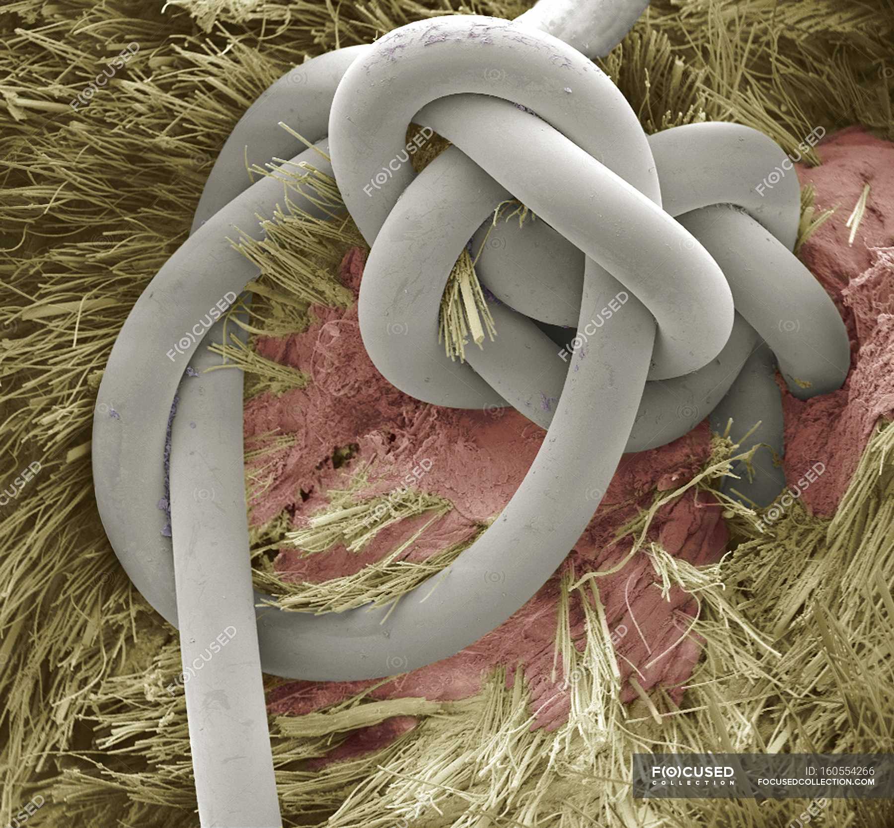 Под микроскопом. Плесневые грибы под микроскопом. Обычные предметы под. Спичечная головка. Предметы в макросъемке.