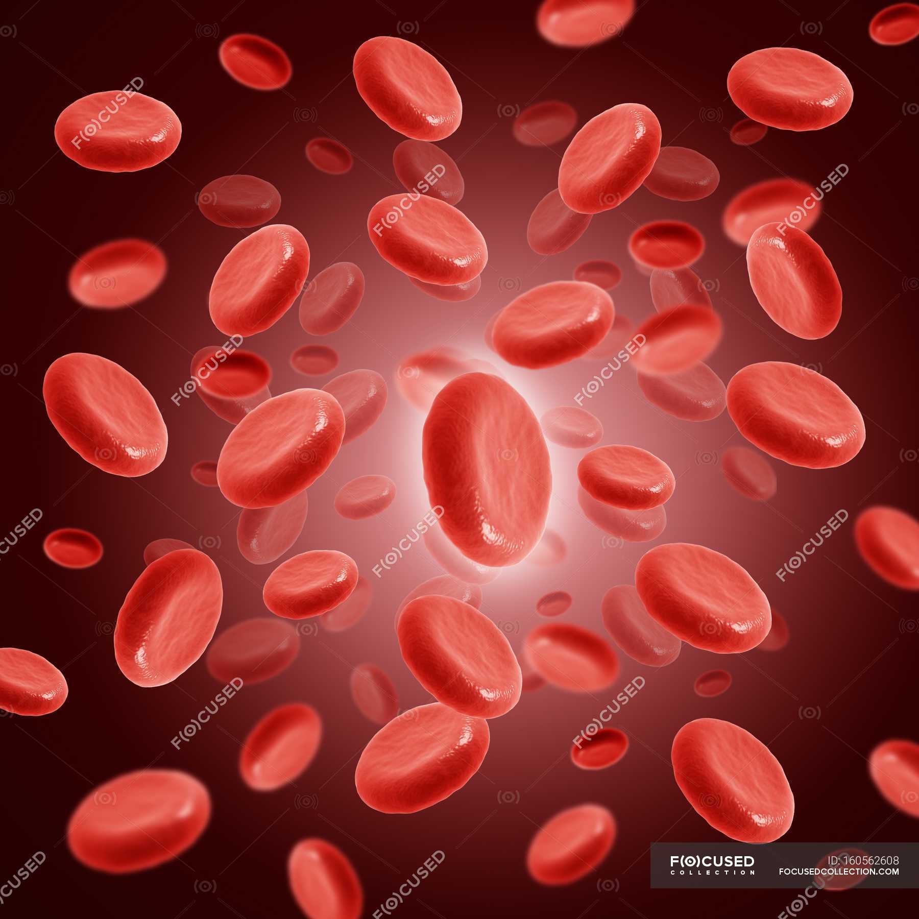 red-blood-cells-in-blood-stream-3d-background-stock-photo-160562608