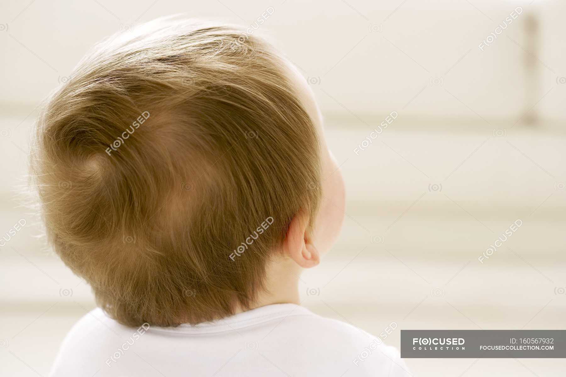 Rear view of baby boy head. — white, care - Stock Photo | #160567932