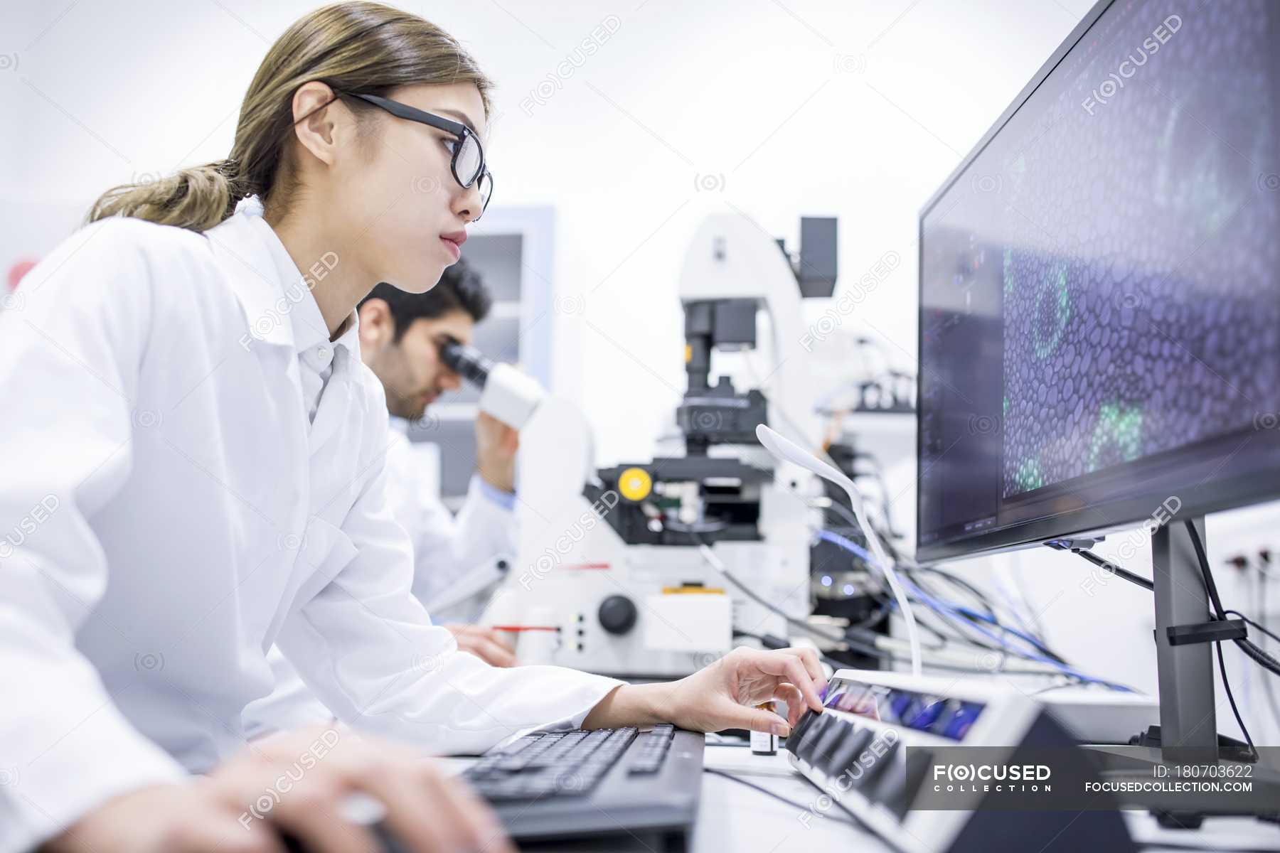 Scientists using computer and microscope in laboratory. — woman ...