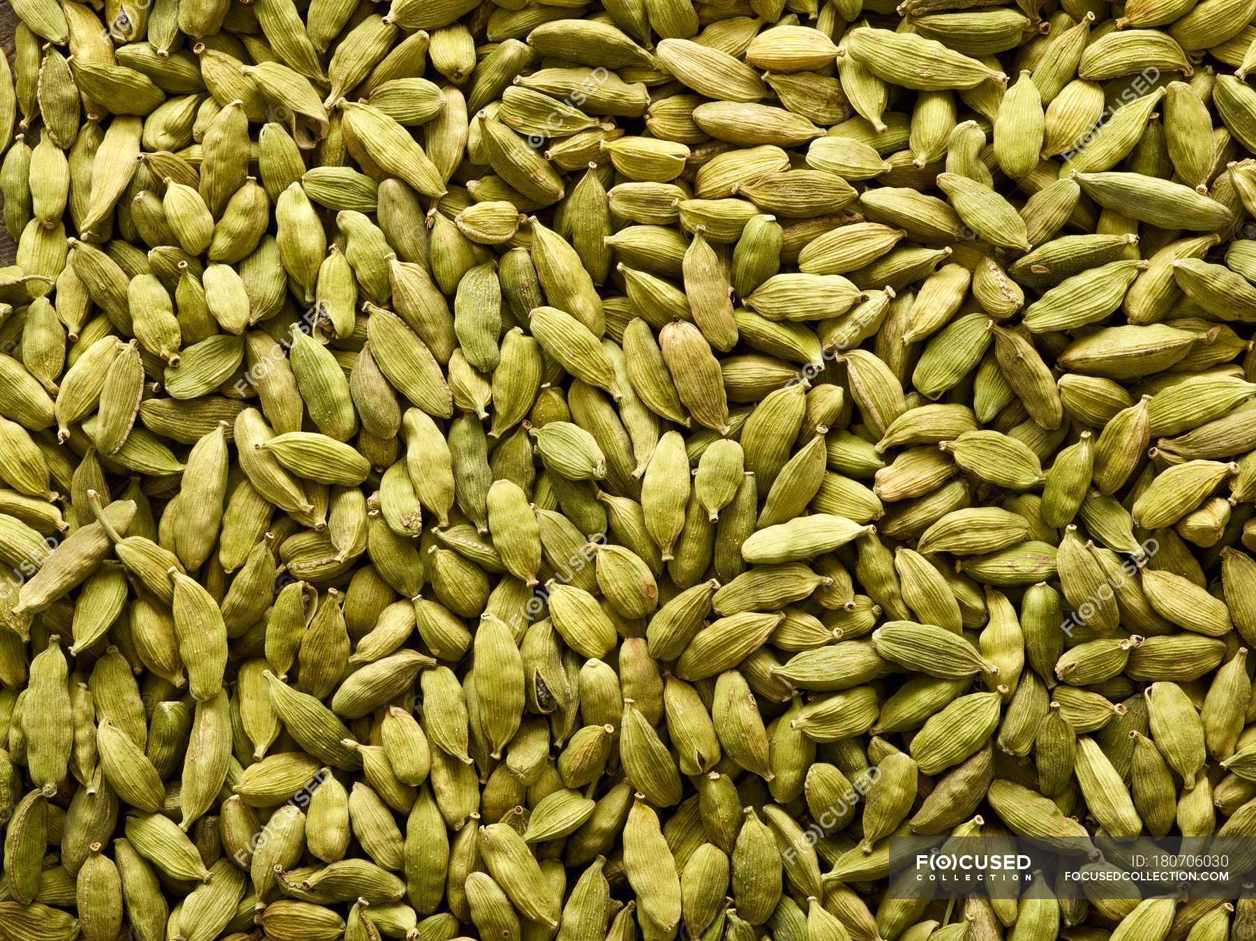 Green cardamom pods, studio shot. — flavoring, spicy - Stock Photo ...