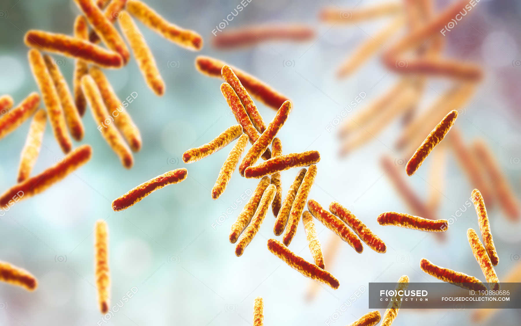 Digital Illustration Of Gram Positive Rod Shaped Mycobacterium