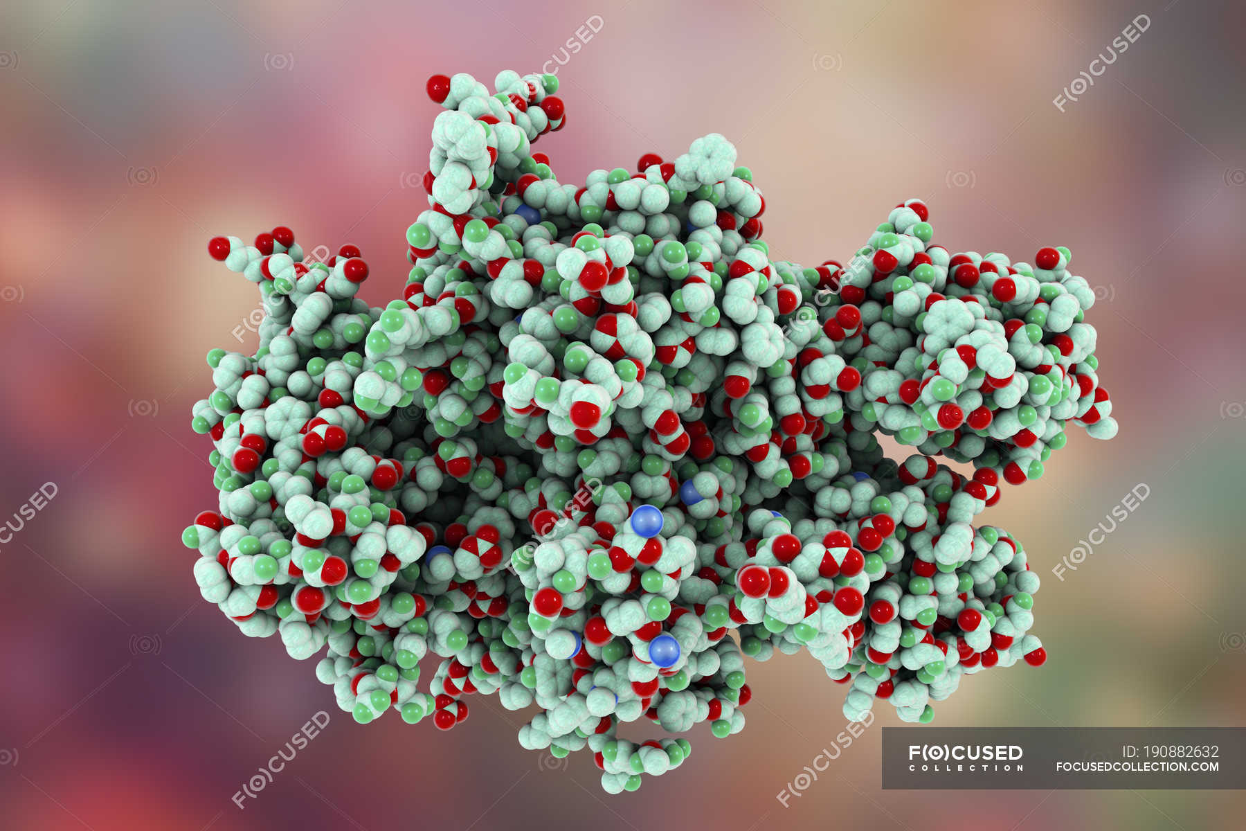 Digital Illustration Of Coagulation Factor Protein — Molecular