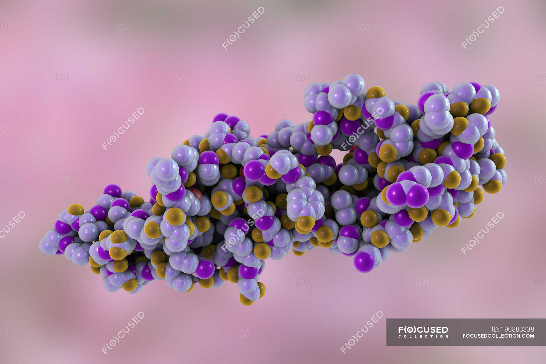 human-chorionic-gonadotropin-glycoprotein-hormone-molecular-structure