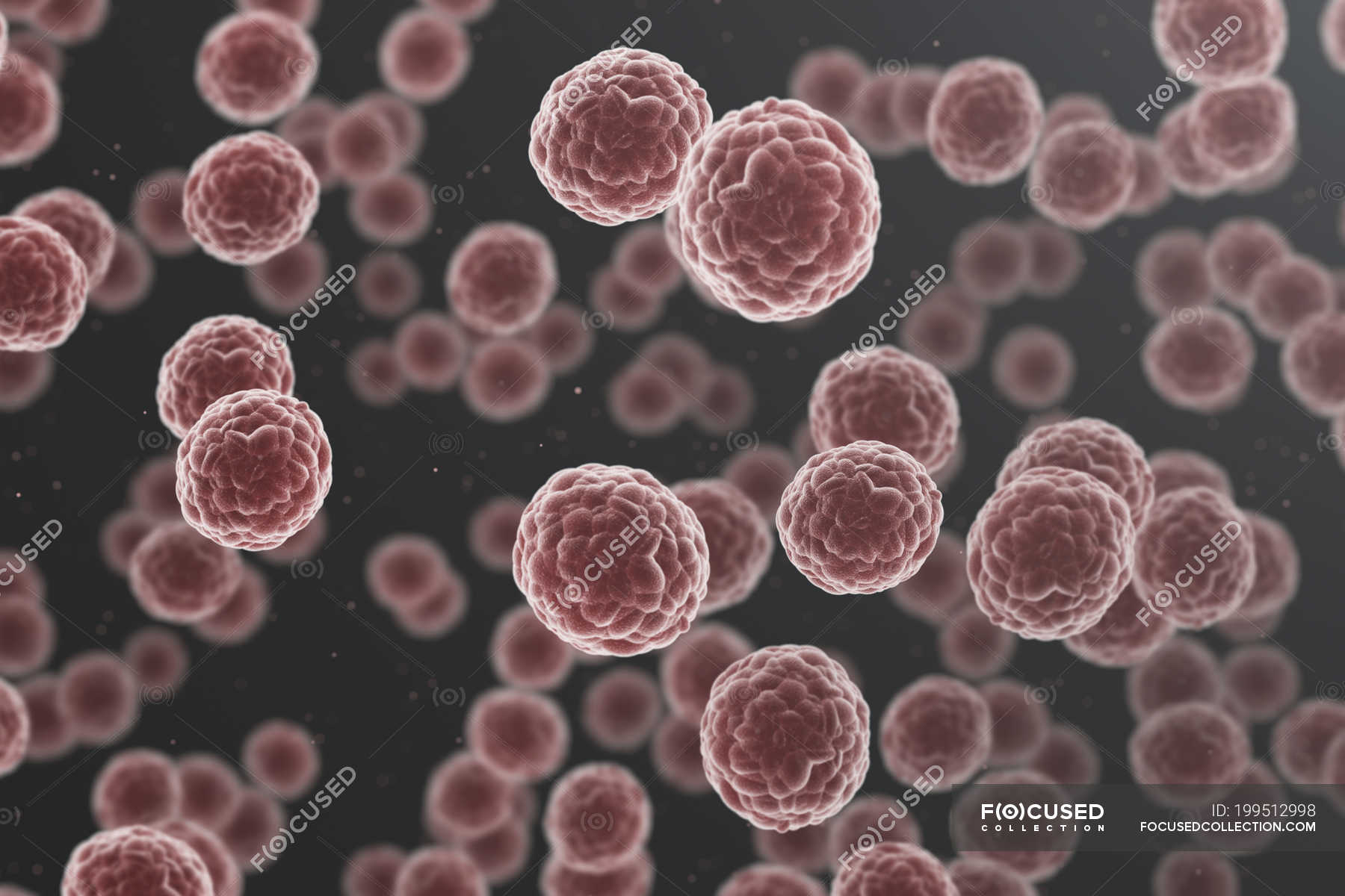 Red cancer cells, digital illustration. — condition, Digitally ...