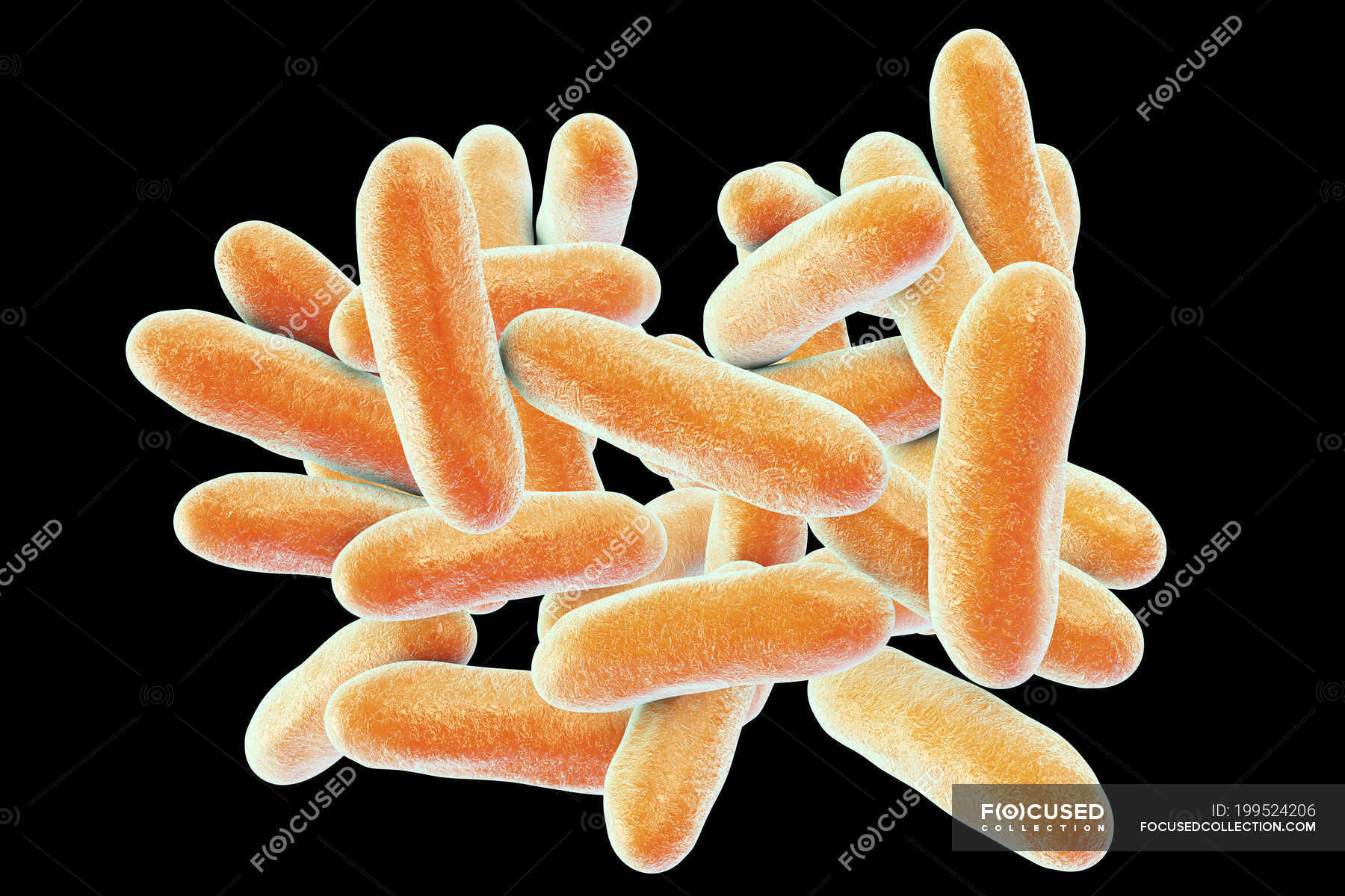 Digital illustration of Legionella pneumophila bacteria causing