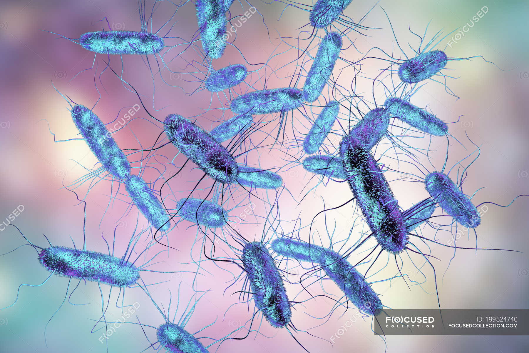 Salmonella Structure Bbc Gcse Bitesize Pathogens Bacteria