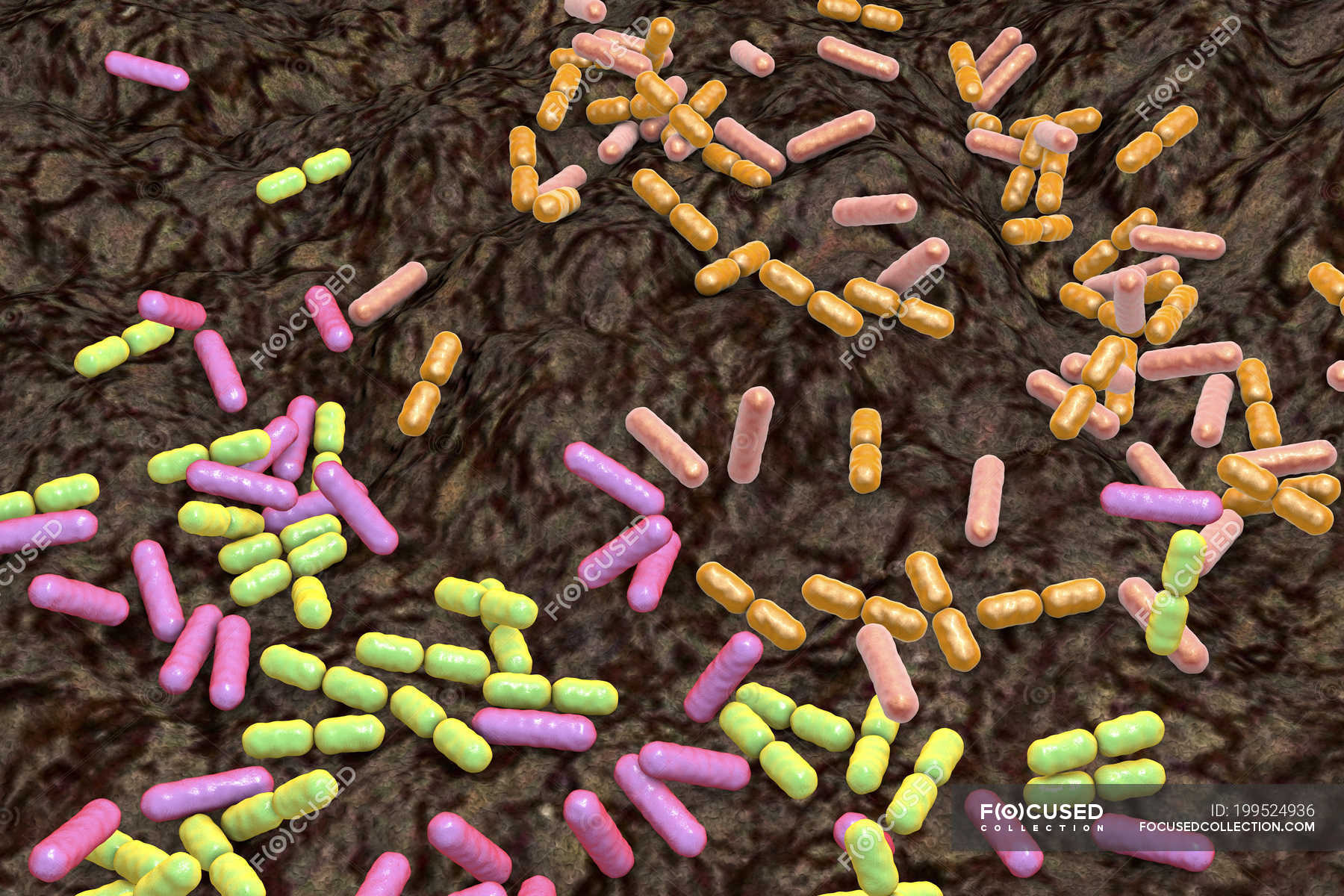 Синтетическая бактерия. Сапрофиты почвы микробиология. Бактерии и микроорганизмы в почве. Сапрофитные микроорганизмы. Бактерии в лесу.