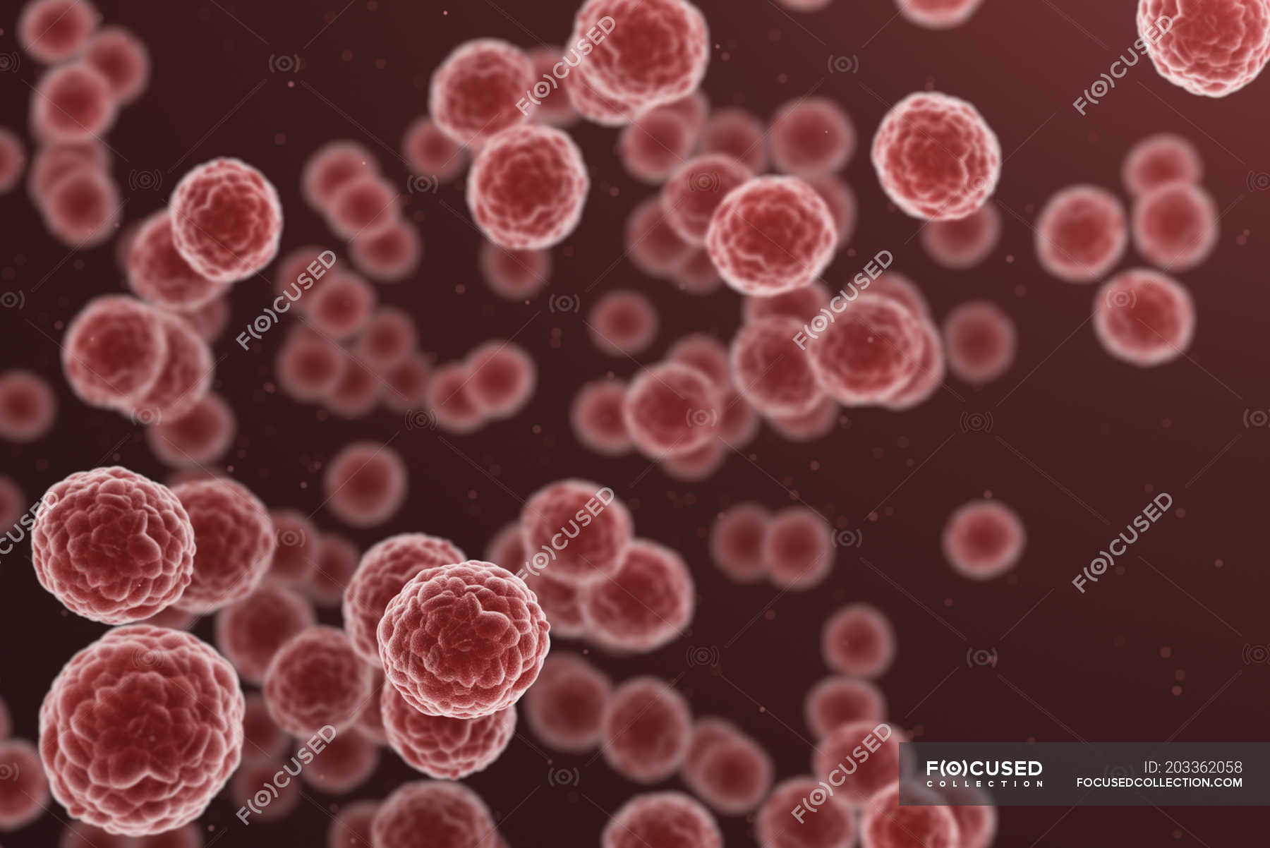 Round red cells on plain background, digital illustration. — concept ...