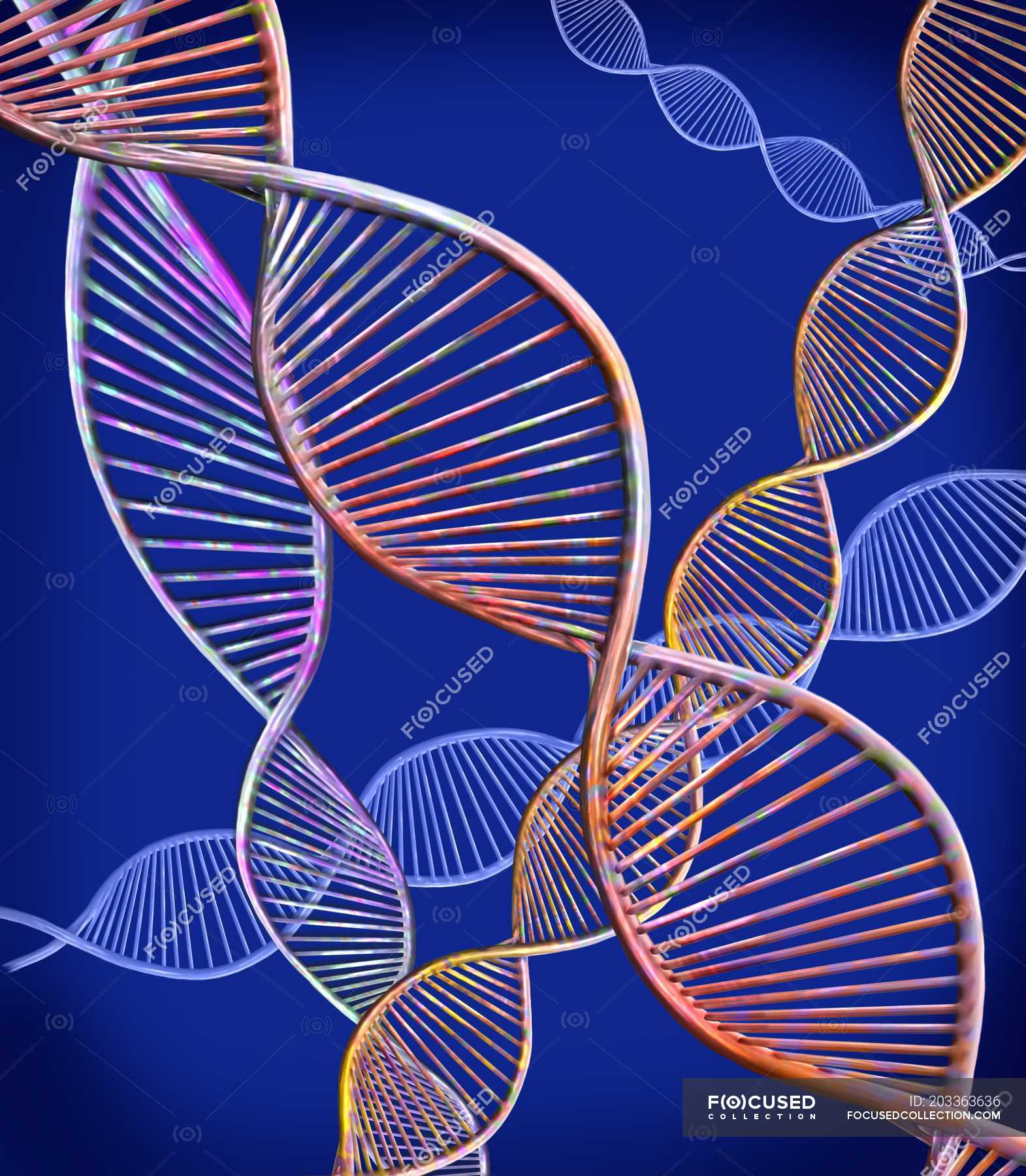 Digital Illustration Showing Structure Of Double Stranded Dna Molecules Colored Background Biochemical Stock Photo