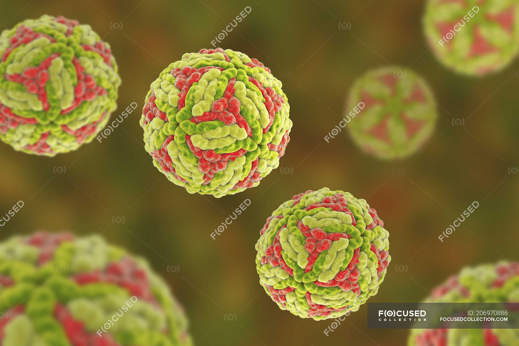 japanese-encephalitis-virus-particles-digital-illustration-colored