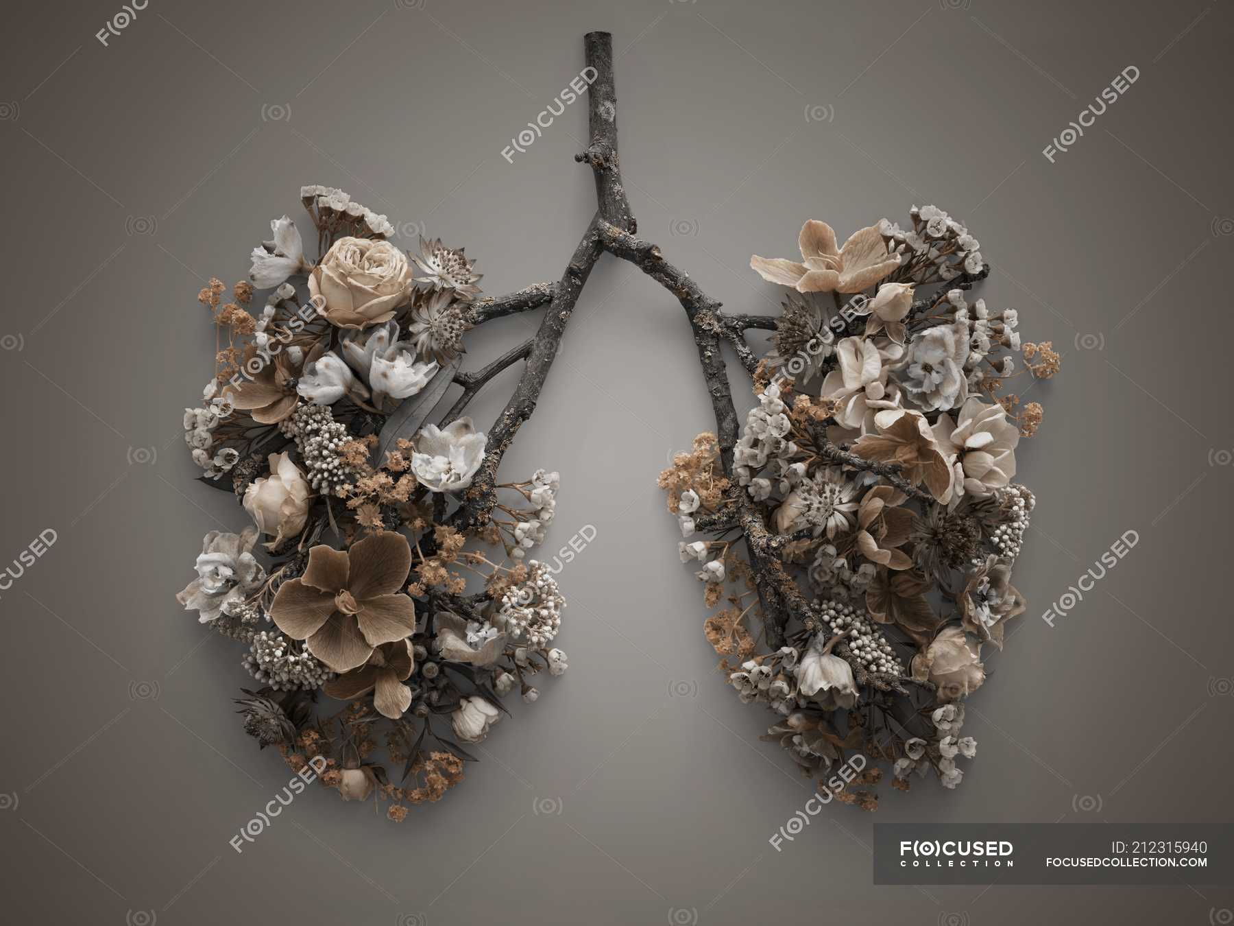 unhealthy human lung