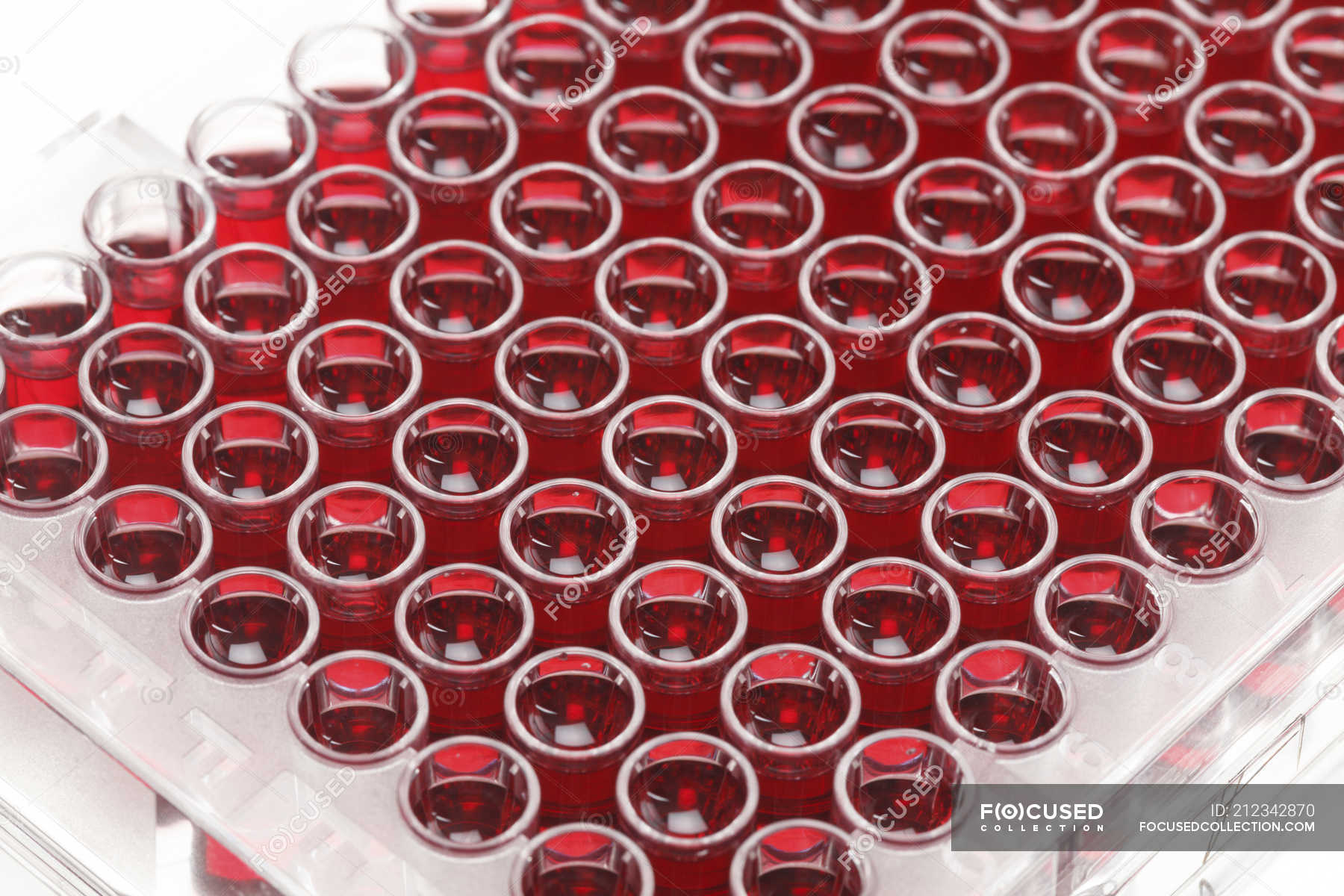 Microtiter plate Stock Photos, Royalty Free Images Focused