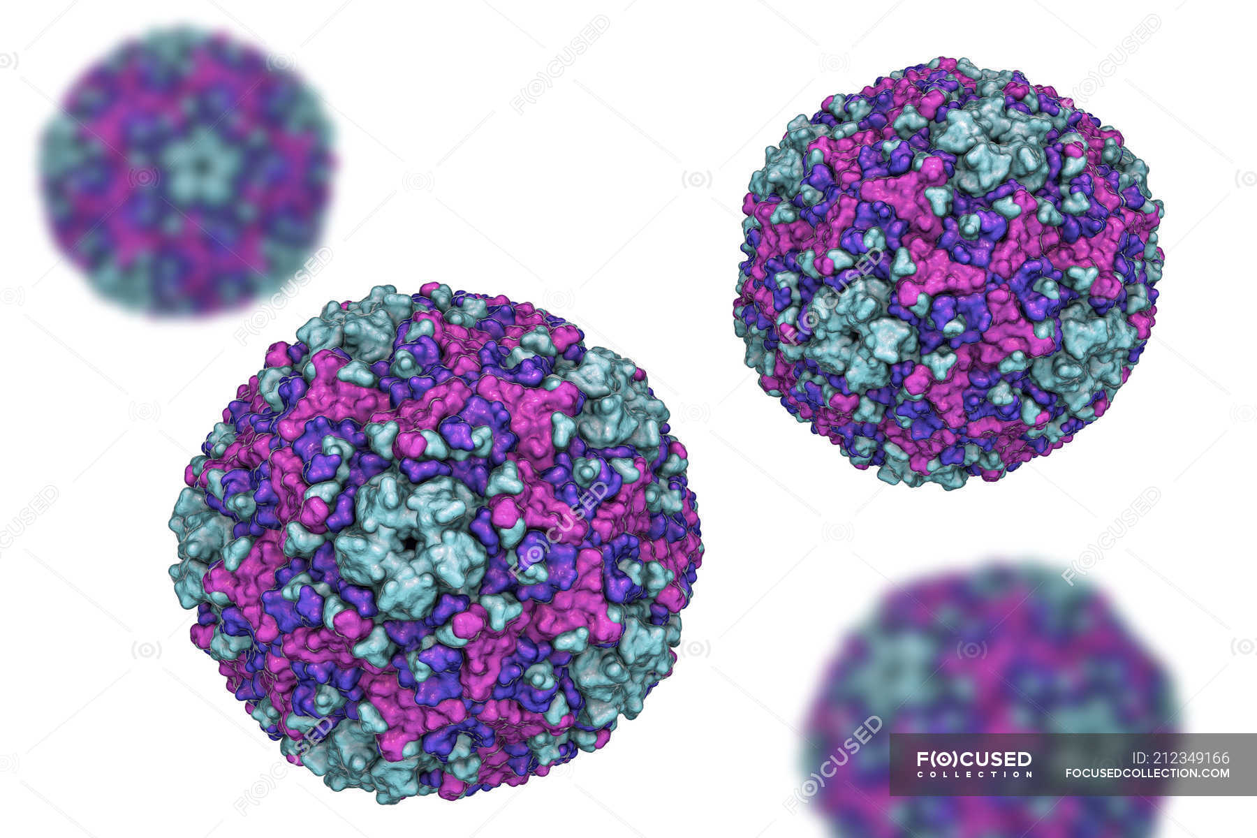 Round Coxsackievirus particles, digital illustration. — detail, viral