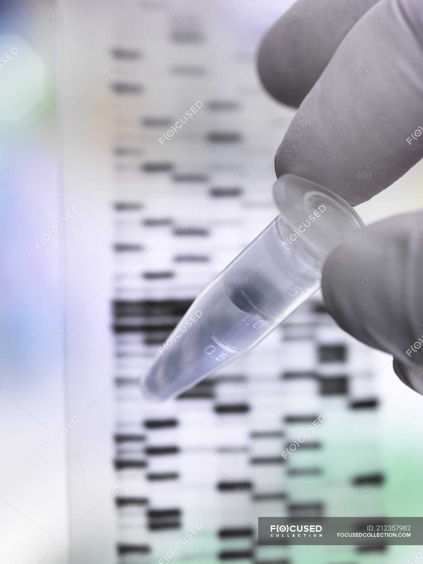 Scientist holding DNA sample in tube with autoradiograph on DNA gel