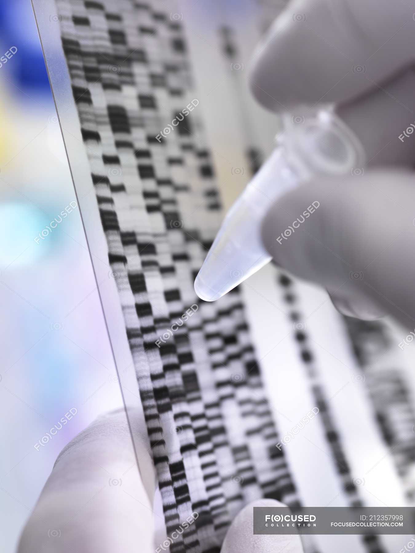 Scientist holding DNA sample in tube with autoradiograph on DNA gel