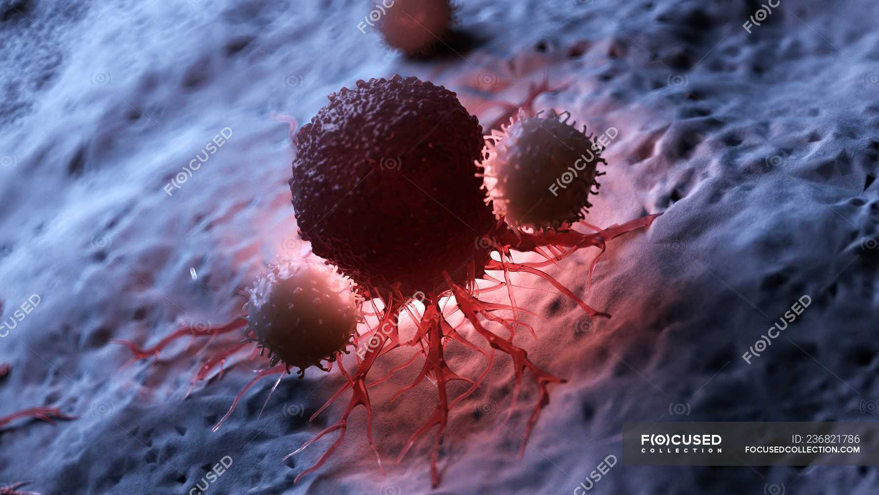 digital-artwork-of-white-blood-cells-attacking-red-illuminated-cancer