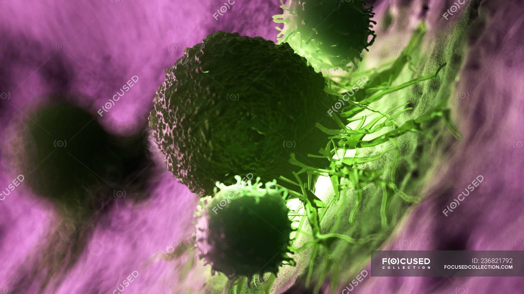 digital-artwork-of-white-blood-cells-attacking-green-illuminated-cancer