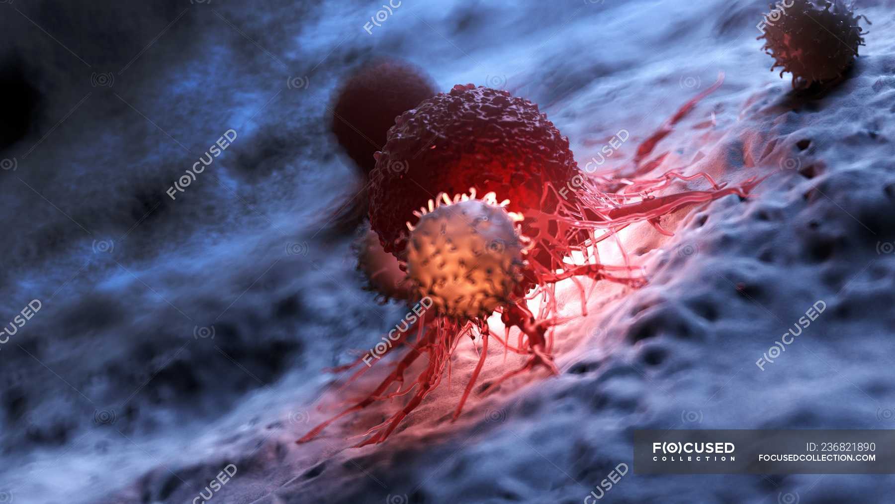 digital-artwork-of-white-blood-cells-attacking-red-illuminated-cancer