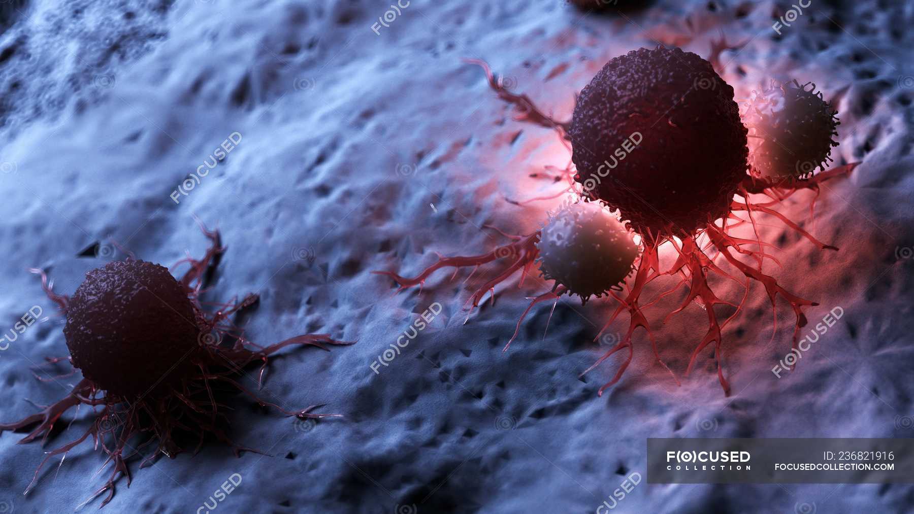 digital-artwork-of-white-blood-cells-attacking-red-illuminated-cancer