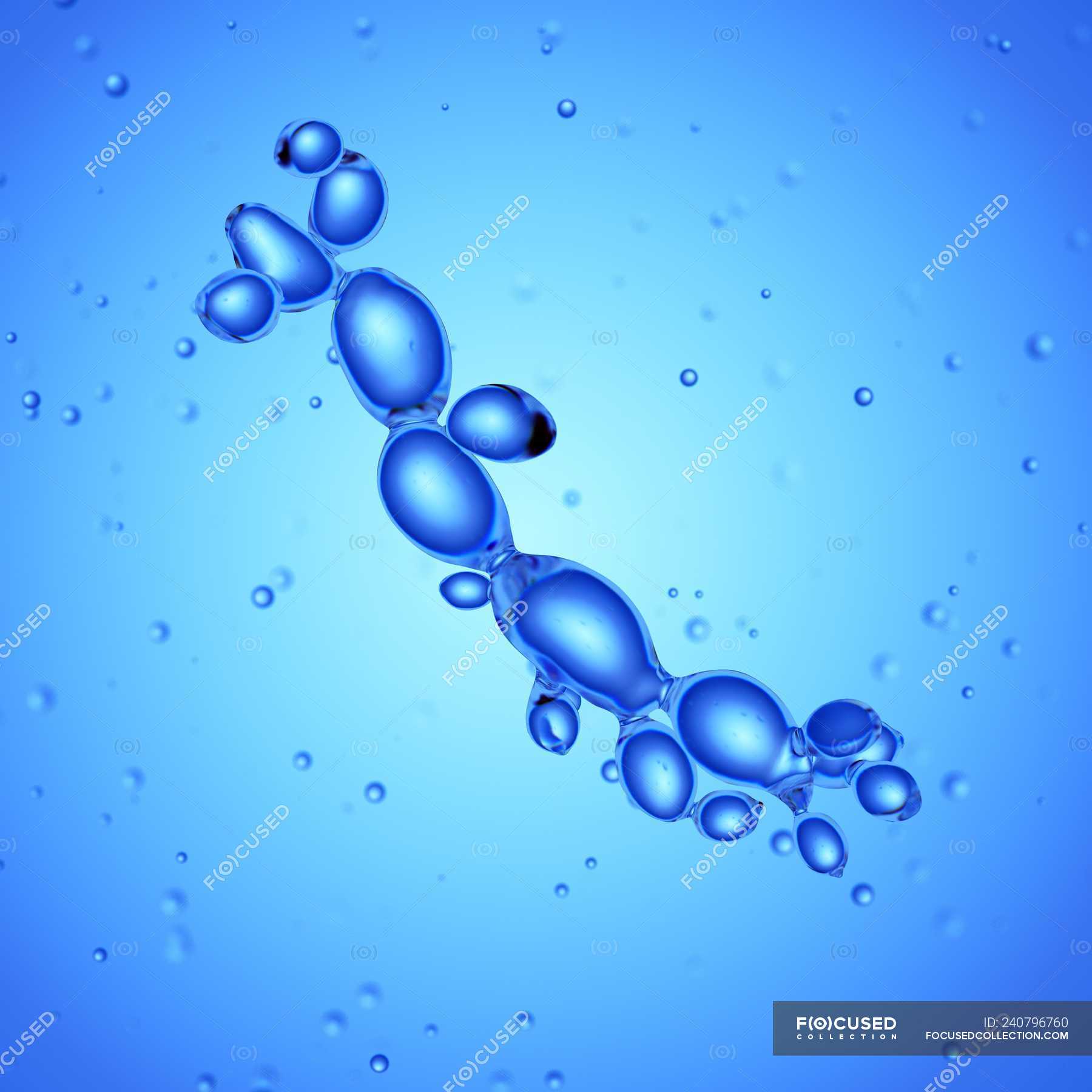 magnified-digital-illustration-of-candida-albicans-yeast